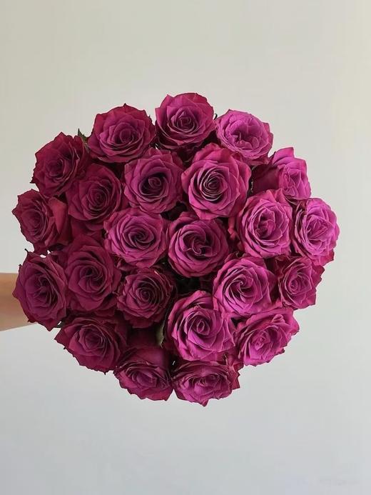 紫色单头玫瑰20枝 商品图5