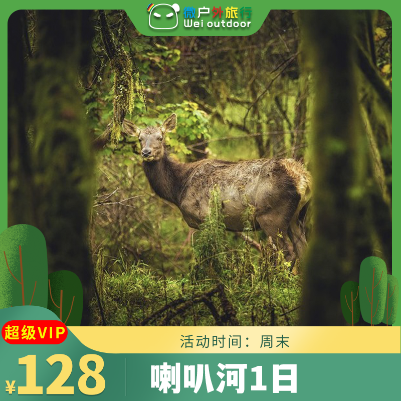 【轻徒丨喇叭河1日】（4.11/18）成都周边的奈良公园，颜值不输北欧