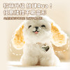 掌中宝毛绒小狗 商品缩略图4