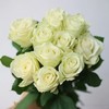 雪山系列单头玫瑰20枝 商品缩略图1