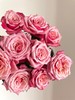 粉色单头玫瑰20枝 商品缩略图5