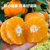 MM 山姆 高山蜜柑 3kg 商品缩略图3