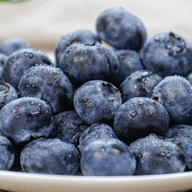 B1F【自采水果】蓝莓15+  规格：500g/盒 （取货日期：4月9日）