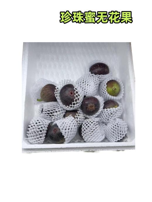 珍珠蜜无花果 商品图0