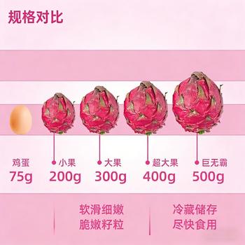 京鲜生国产红心火龙果净重4.5斤 单果200g起 新鲜水果 源头直发包邮 商品图6