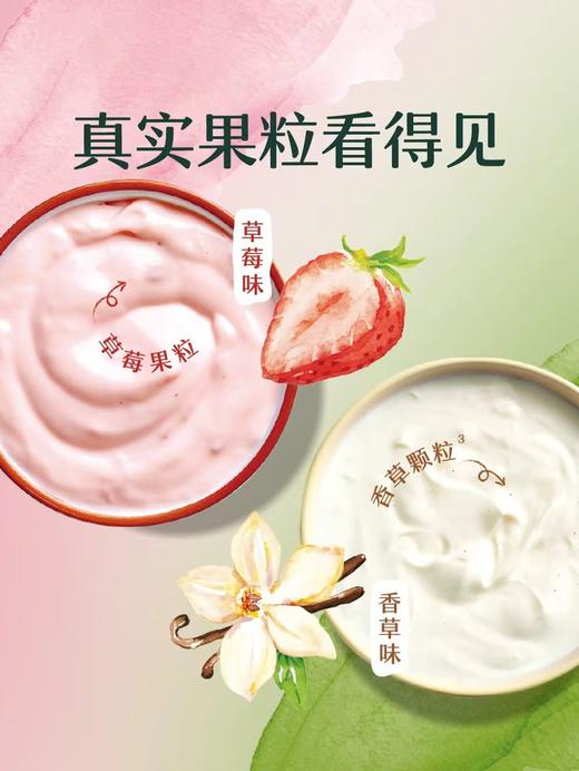 MM 山姆 Chobani希腊式风味酸奶 100g*6 商品图2
