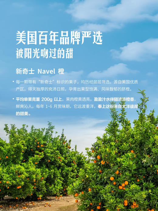 MM 山姆 Sunkist 美国进口 新奇士Navel橙 3kg 商品图4