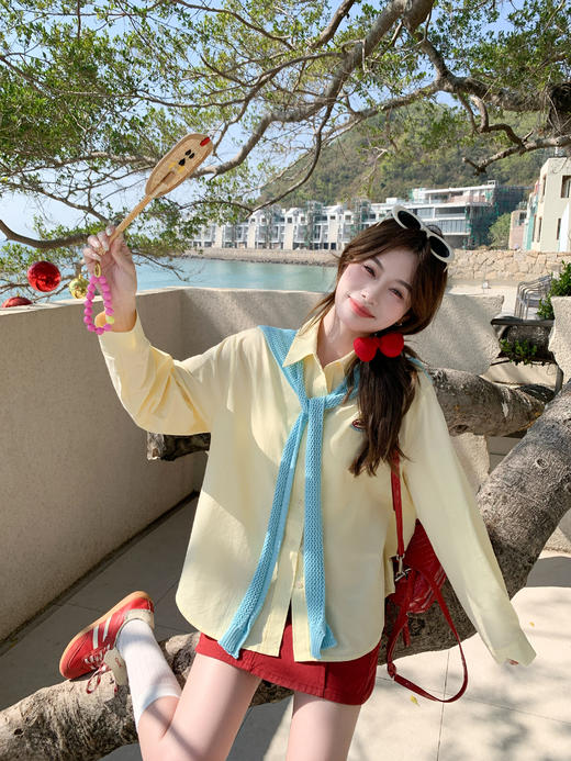 <曾小咸推荐>4.6现货秒杀 ！微信超特价！韩系多巴胺刺绣衬衫 日常169.99 立减90 秒杀79.99！！ 商品图10