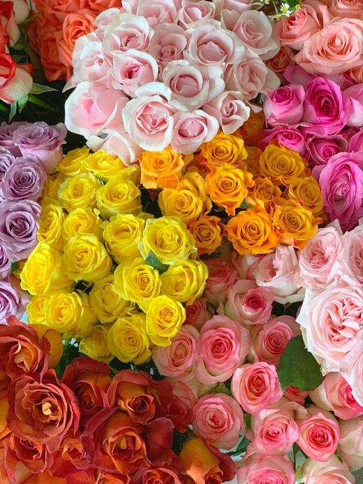 【好运如期而至】方德混色玫瑰10支+圣心百合5支+伊犁非洲菊5支+香格里拉非洲菊5支/份 商品图2