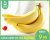 云南高山甜蕉/1份（约1.5kg±50g） 商品缩略图0