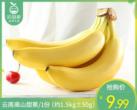 云南高山甜蕉/1份（约1.5kg±50g）