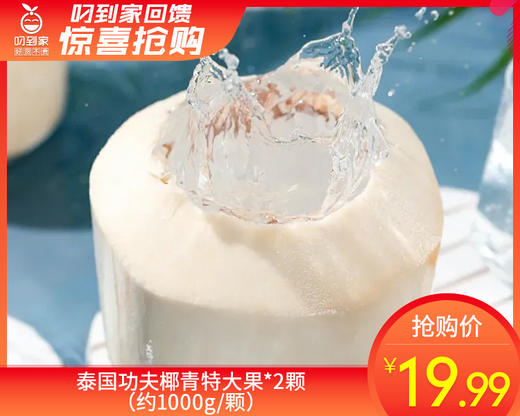泰国功夫椰青特大果*2颗（约1000g/颗） 商品图0