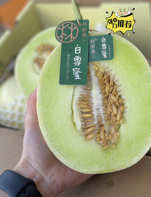 白雪蜜瓜 商品图0