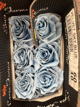 厄瓜多尔-【Velvet sky blue】天空绒