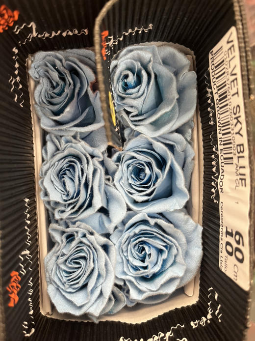 厄瓜多尔-【Velvet sky blue】天空绒 商品图0