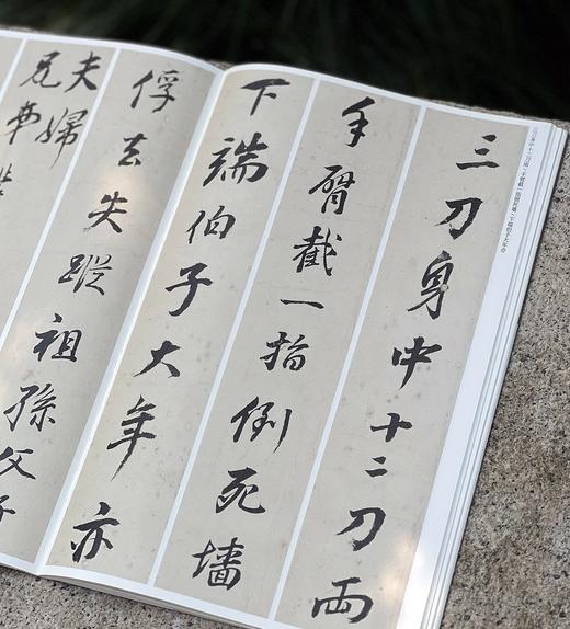 《董其昌行草墨迹》套装7本 樊利杰王晓钟 主编  湖北省博物馆 编 平装锁线订 商品图12