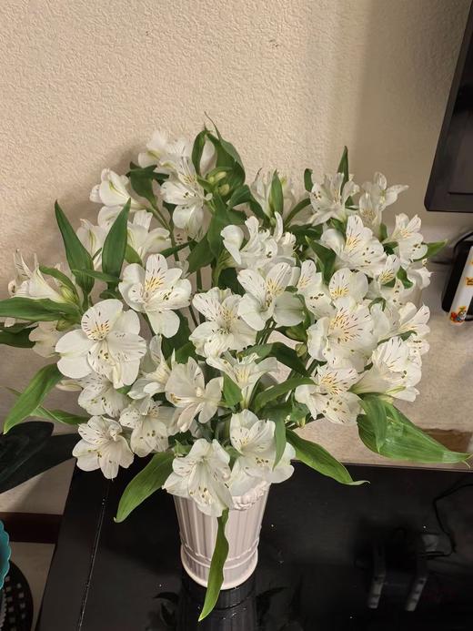 水仙百合10支 商品图3