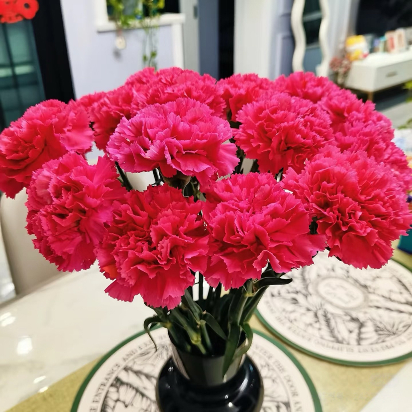 大桃红单头康乃馨20枝