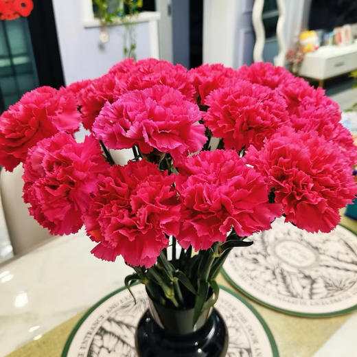 大桃红单头康乃馨20枝 商品图0
