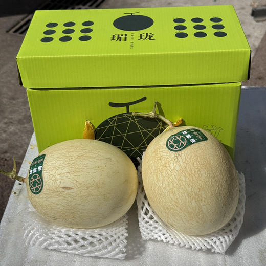 白雪蜜瓜 商品图6