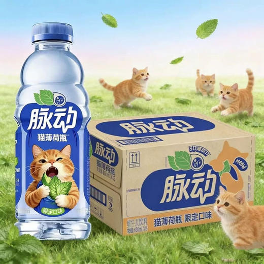 脉动猫薄荷瓶限定口味600ml维生素运动饮料 商品图0