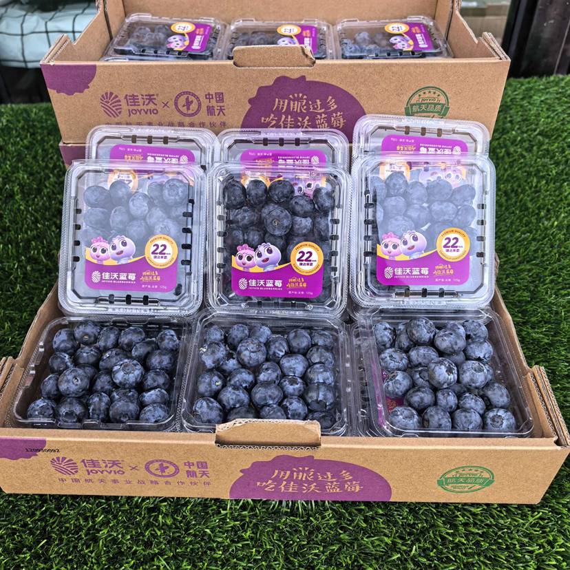 佳沃花香22+大蓝莓