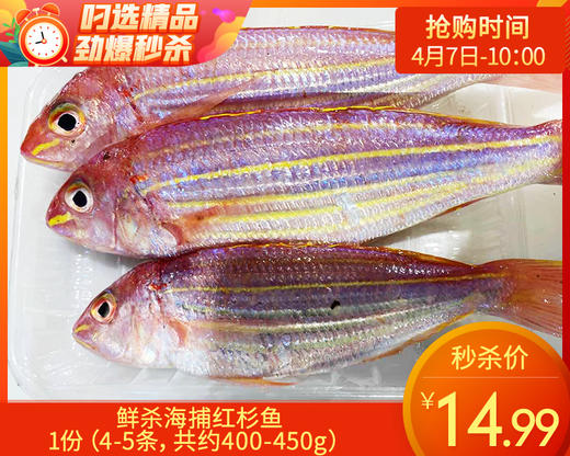 鲜杀海捕红杉鱼/1份（4-5条，共约400-450g） 商品图0