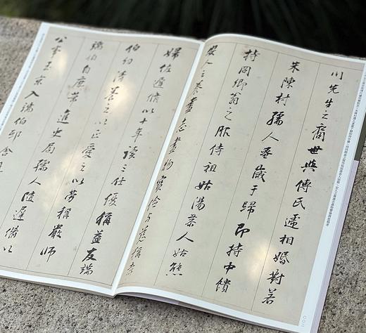 《董其昌行草墨迹》套装7本 樊利杰王晓钟 主编  湖北省博物馆 编 平装锁线订 商品图13