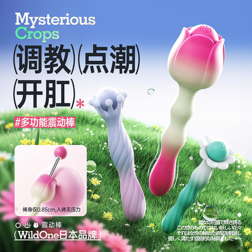 WildOne 日本 神秘作物女用震动棒 调教|点潮|开肛多功能 商品图0