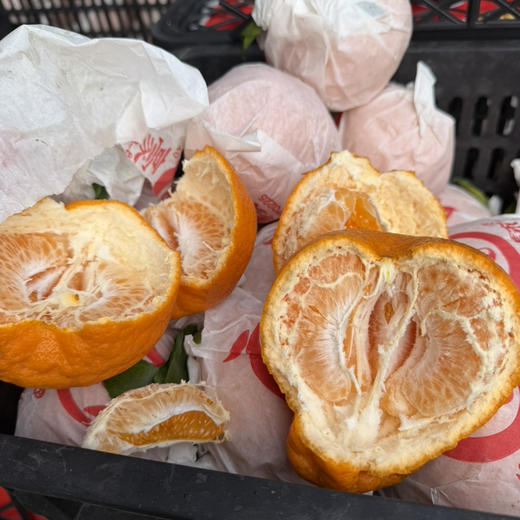 原袋粑粑柑🍊 90#大果 口感纯甜 个别带微微酸！19.9/5斤 预定价！ 商品图0