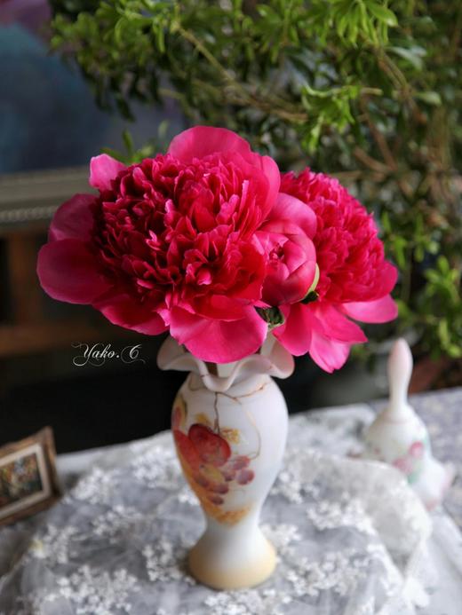 【预售！4.20起陆续发出】贝尔格拉维亚【人间四月天，芍药铺庭前】简小姐精选红色渐变新品 贝尔格拉维亚 5枝 2件顺丰包邮 商品图3