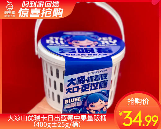大凉山优瑞卡日出蓝莓中果量贩桶（400g±25g/桶） 商品图0