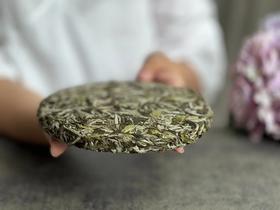 【2026春茶预订】2026清明白牡丹饼，汤水柔润、花香清丽，冰沁汤感媲美冰肌（8饼收藏装）