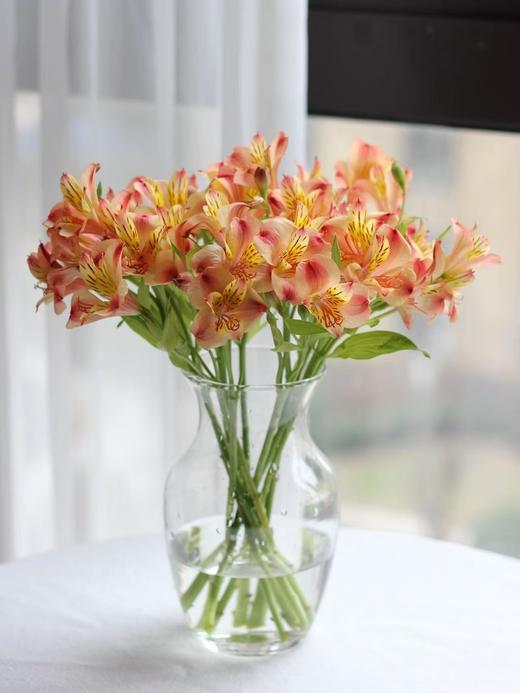 水仙百合10支 商品图0