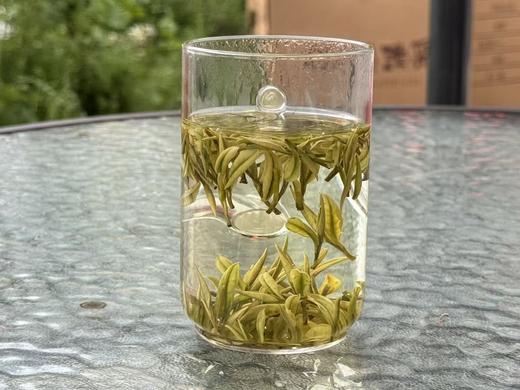 2026春  一级  鸡汤鲜 安吉白（里黄杜） 125克起 商品图5