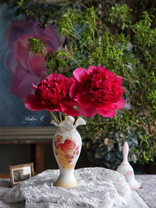 【预售！4.20起陆续发出】贝尔格拉维亚【人间四月天，芍药铺庭前】简小姐精选红色渐变新品 贝尔格拉维亚 5枝 2件顺丰包邮 商品图0