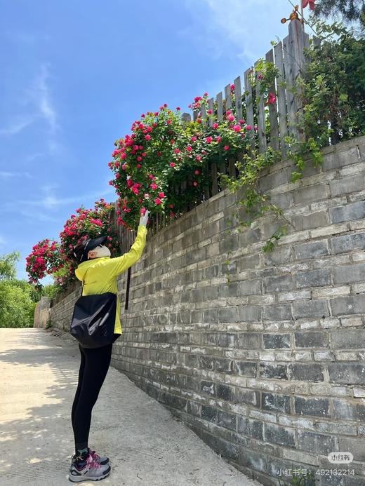 一店d ❗️独家大爆款 𝐃𝐞𝐬𝐜𝐞𝐧𝐭𝐞梭织凉感透气4d版型情侣皮肤衣
火疯了！陈伟霆同款的运动生活系列 这个系列能完美平衡春夏专业运动和日常穿搭 商品图14