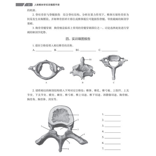 人体解剖学实训填图手册 姜晓瑞 何亚环 主编 适用中职护理、康复技术专业、医学检验技术、药剂、中药等专业学生 科学出版社 商品图4