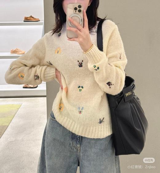 女款卡通刺绣针织毛衣zh014 商品图2