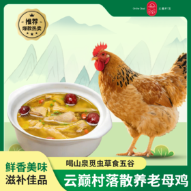 云巅村落散养竹香老母鸡（鲜香）
