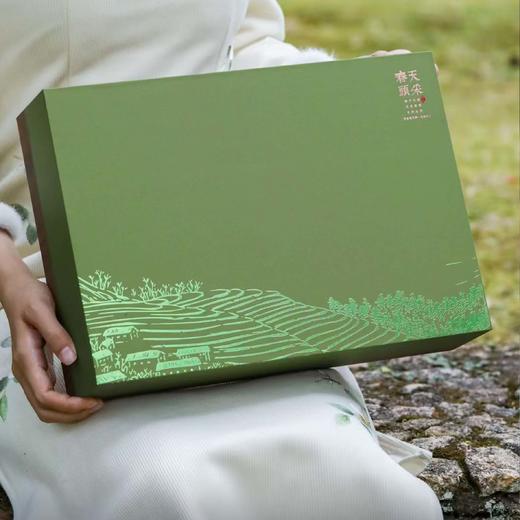 26元一套 / 一箱16套 春天头采【通版 四罐 浅绿色】 商品图3