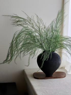 芦荀草1扎