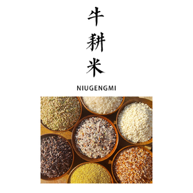 牛耕米多品种可选【基地直发】产地：贵州黎平洋洞