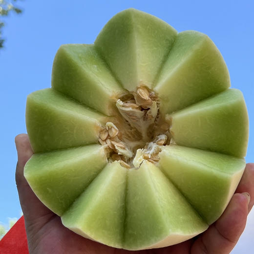 白雪蜜瓜 商品图3