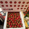 蛙语小番茄 2号果 甜度高 28/件（2斤净果）推荐 商品缩略图1
