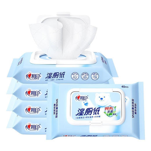 心相印湿厕纸40抽温和杀菌抑菌清洁卫生湿纸巾 商品图0