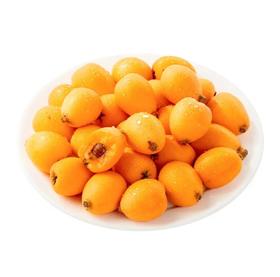 称重  云南高山枇杷大果500g