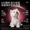 犬多维魔方冻干一盒顶七瓶补充28种营养素狗狗复合维生素52g/盒 商品缩略图3