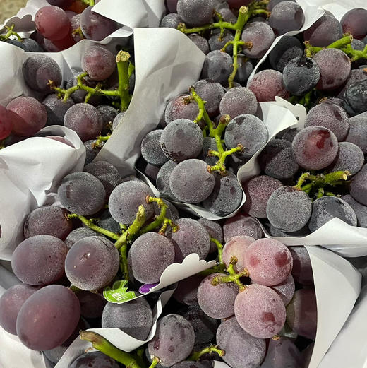 富硒 有机肥葡萄🍇 味浓 轻微果酸 46.8/斤 商品图1