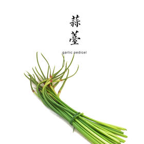 合作｜酵素蒜薹 500g